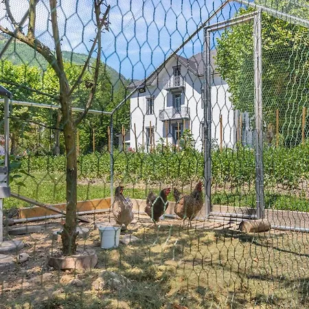 le clos grillet-3