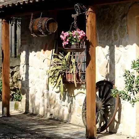 Country House-2