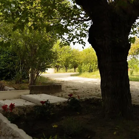Tenuta I Gelsi-2