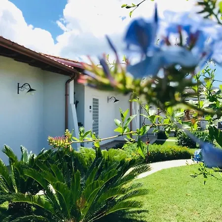 La Casa Rotta-2