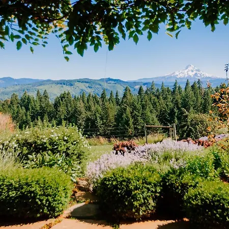Sakura Ridge Farm & Lodge-3