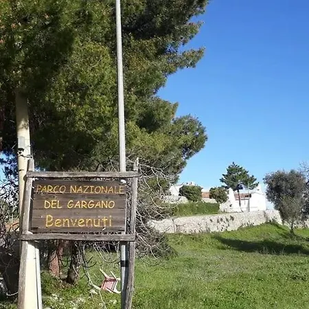 B&B La Torre Antica-3
