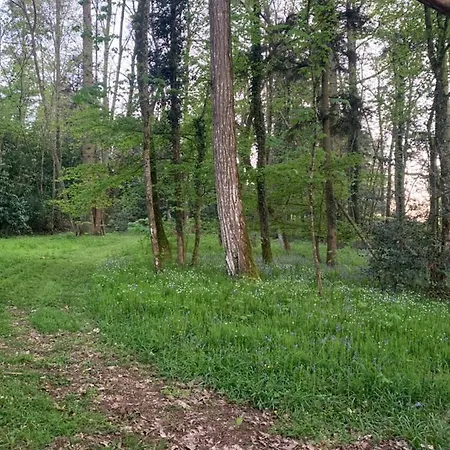 Suite privée rose au Château de la Franceule-2