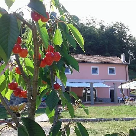 B&B La Casina Rosa La Spezia-2