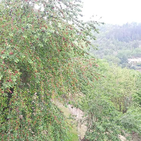 La Contea-2