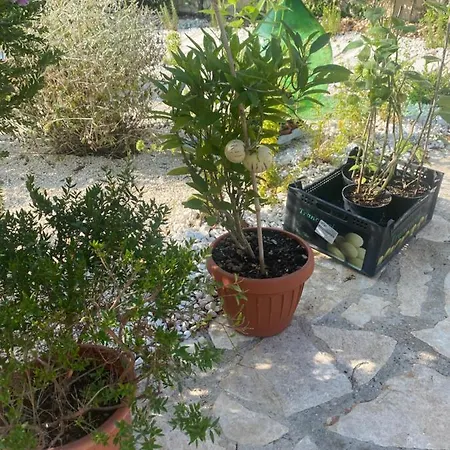APulia casa e cucina-3
