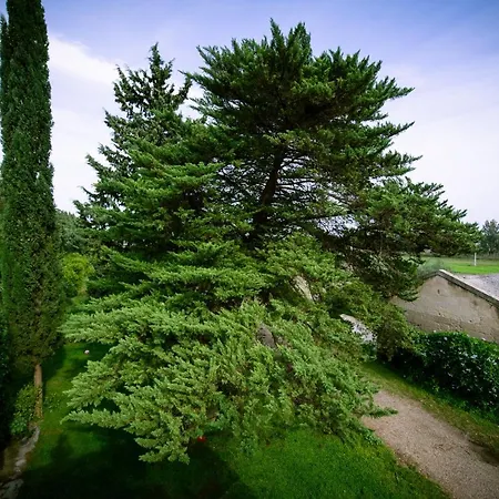 Masseria Perronello Country House-3