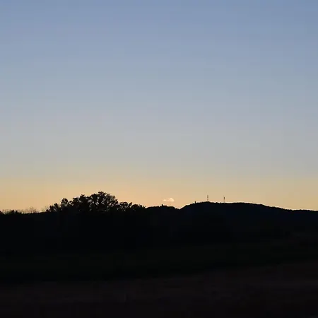 L'arbre qui chante-2