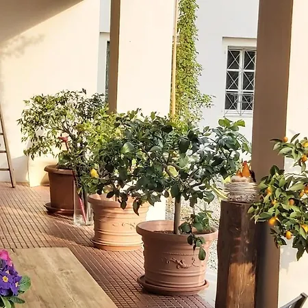 Corte Martinola bed&breakfast in Franciacorta-3