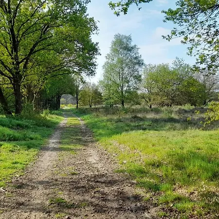 Bed&Breakfast De Kleine Vos-3