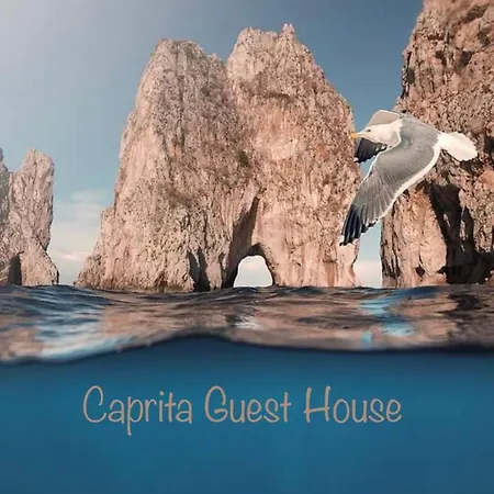 Caprita Guest House-3