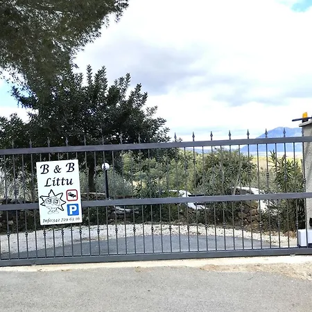 B&B Littu-2