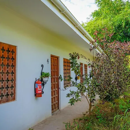 Nungwi House-3