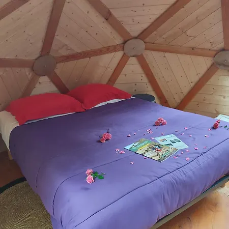 La Maison de Tari-2