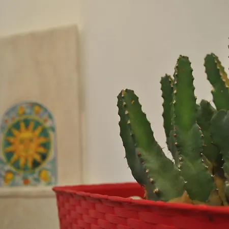 B&B Jasmin-2