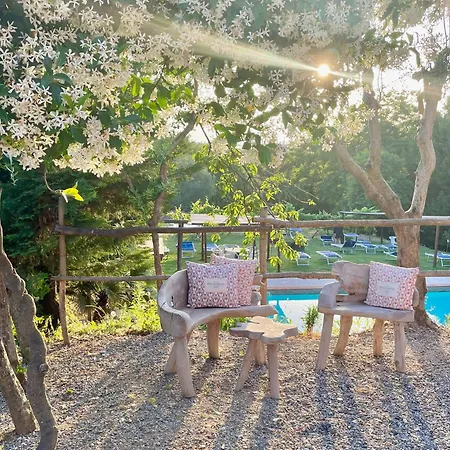 B&B Alloro-3