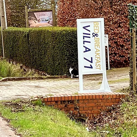 Villa71-2