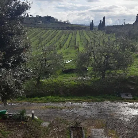 Agriturismo Fattoria le caprine-2