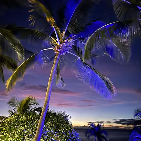 La Maison De La Plage - Guest House-2