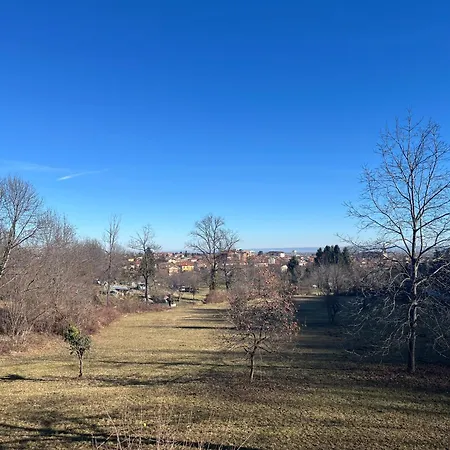 Il Bosco Incantato-3