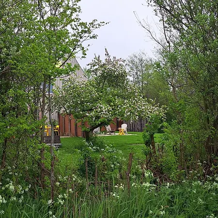 Silver Garden-3
