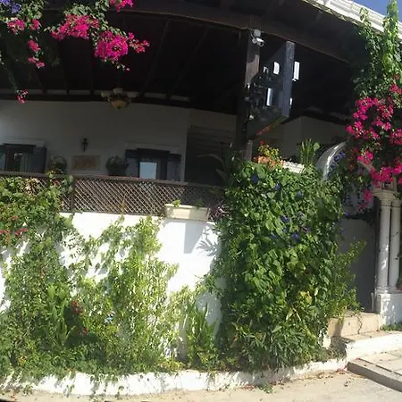 Pasha Motel-2