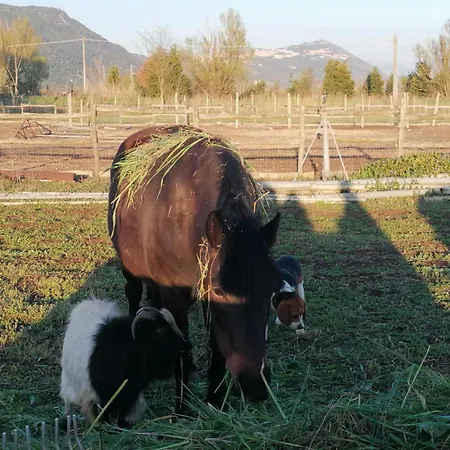 Casale Cavatella-2