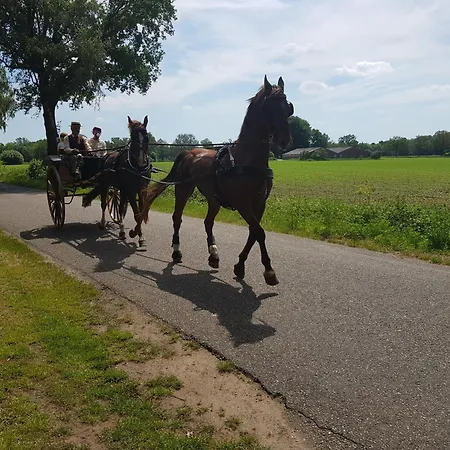 Huisjeaandedinkel-2