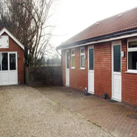 Linden Tree-3