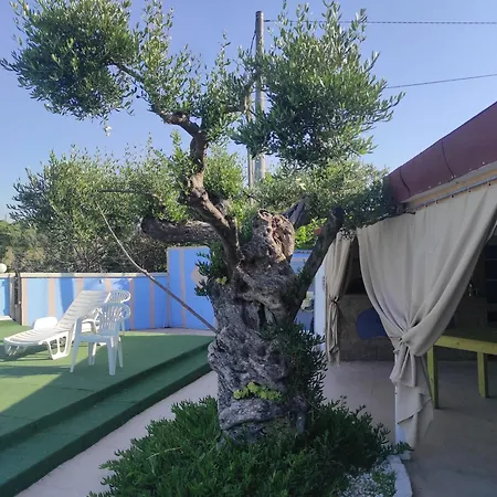 B&B Gli Amici Del Tubarello-3