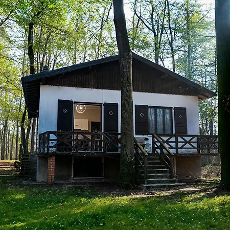 Le Case nel Bosco-3