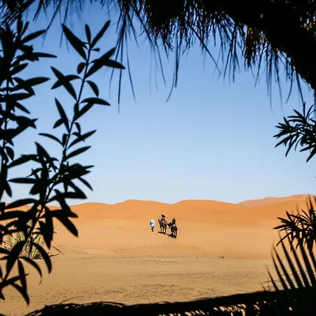 Dune House-3