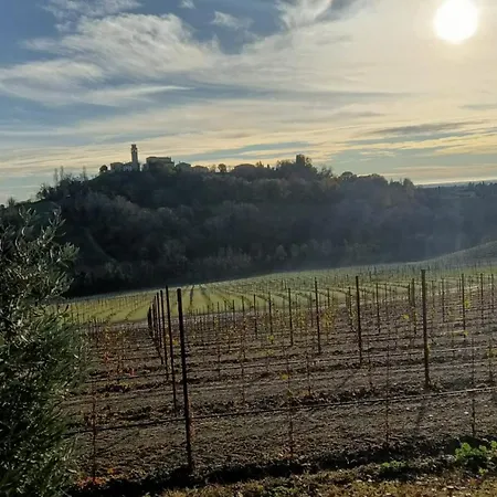 Il giuggiolo-3