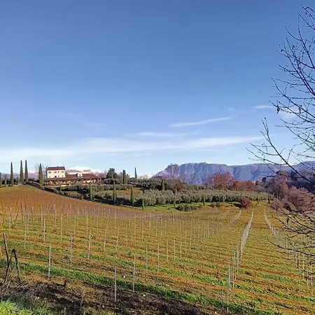 Il giuggiolo-2
