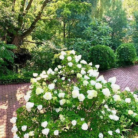 Plantation House Bed & Breakfast-2