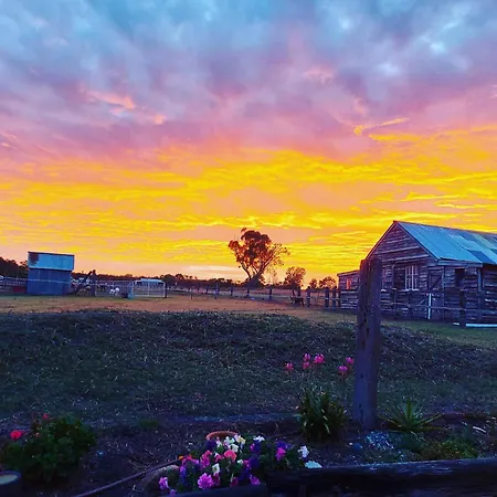 Straw House Farm - Stanthorpe-3