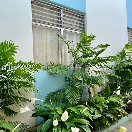 Casa Quetzal-2