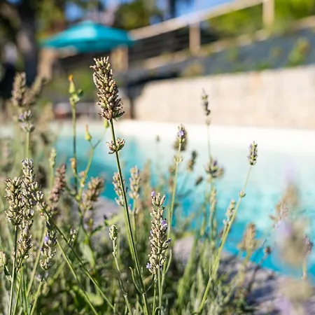 Cascina GianTino suite Sughero Adults Only-2