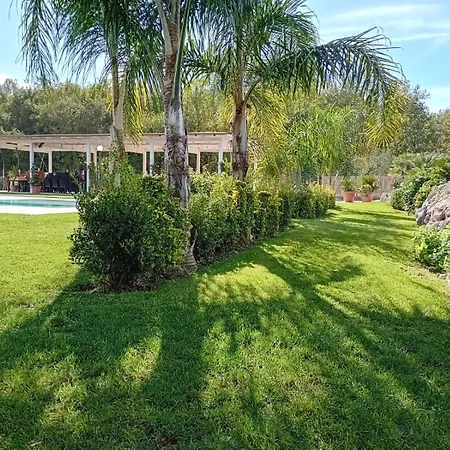 B&B Sykelgrima-2