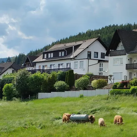 Pension Sauerland-2