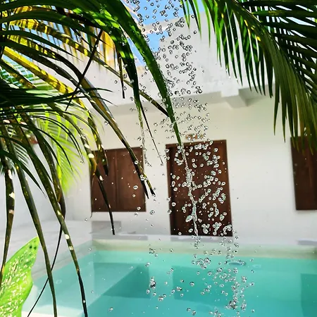 Sri Lanka Surf Villa Domus Graziella-2