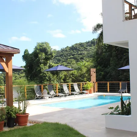 The Serene House Bed & Breakfast-2