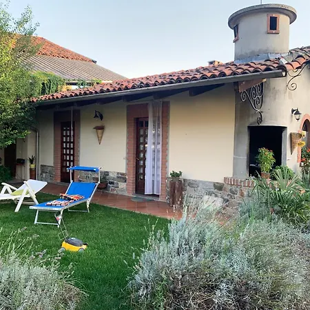 Bouganville-2