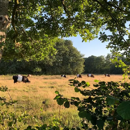 De Hiddinghhoeve-3