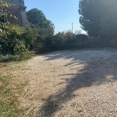Albarosa-3