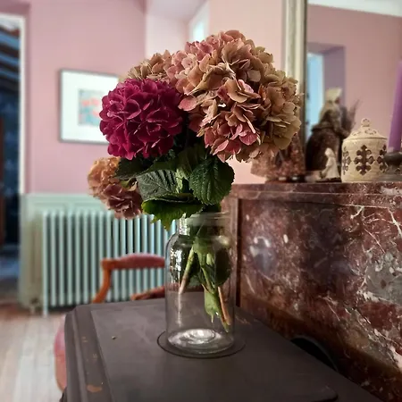 Maison Violette en Berry - chambres d'hôtes vintage face au marché d'Aigurande-2