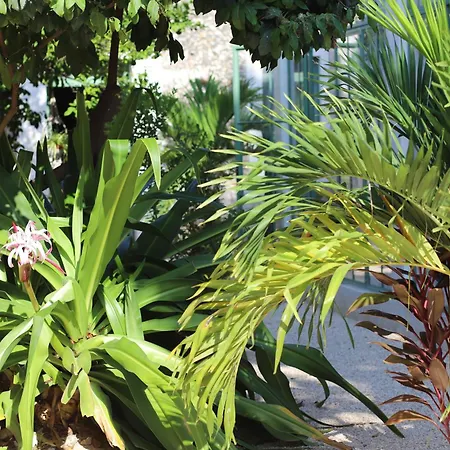 Nuik Casa Tropical-3