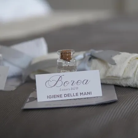 Borea Luxury B&B-3