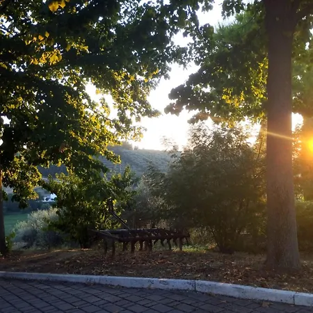 Il Mandorlo B&B-3