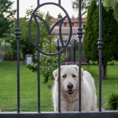 Il Martinetto Bed&Breakfast-3
